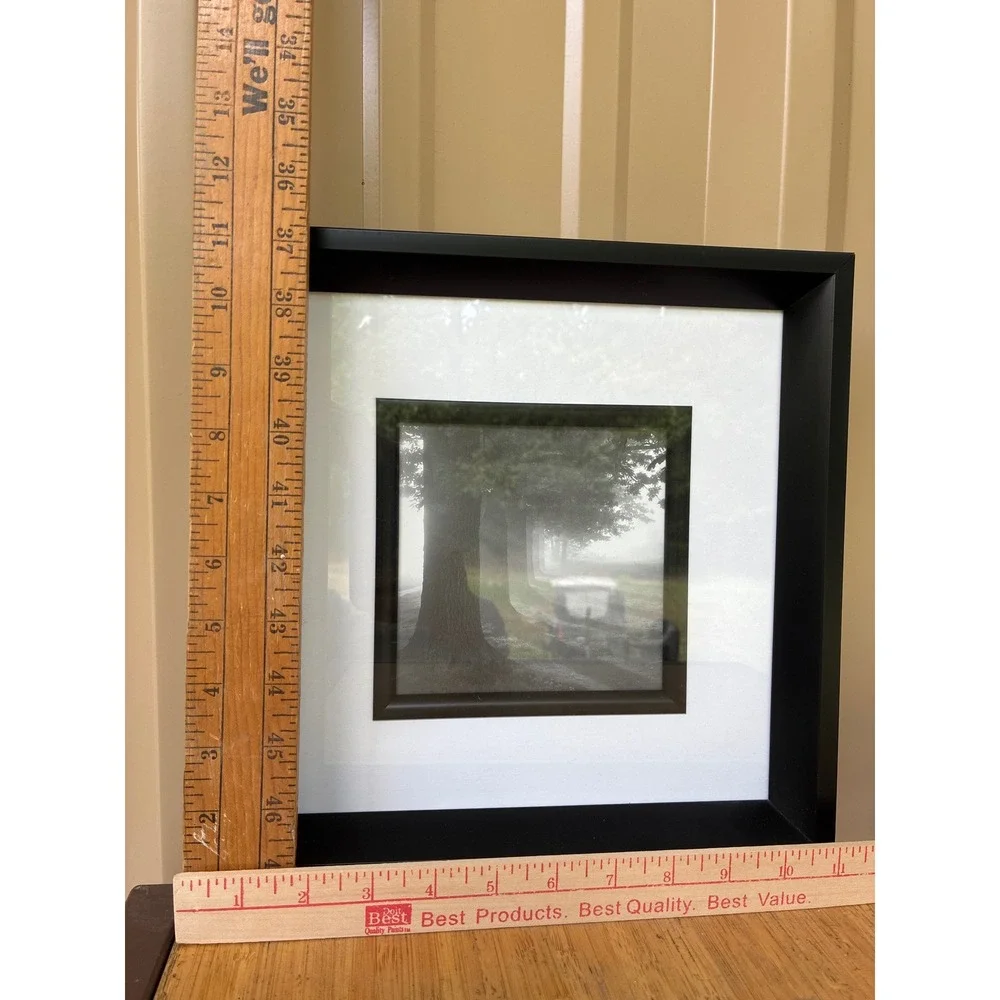 Set of 3 Framed Landscape Tree Photos Awakening Riverview Misty Fog Wall Art